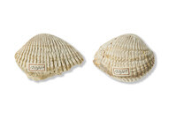 F 12090 01
<br/>
Verwijderen!
<br/>
<em></em>